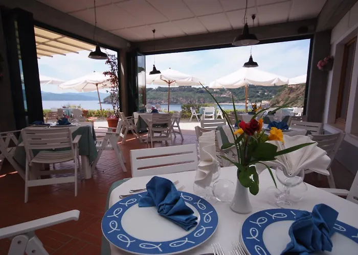 Dino 카폴리베리