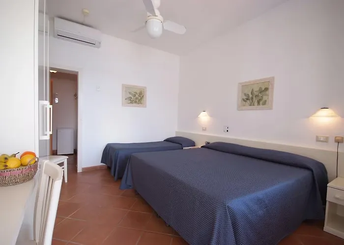 Dino Capoliveri (Isola d'Elba)