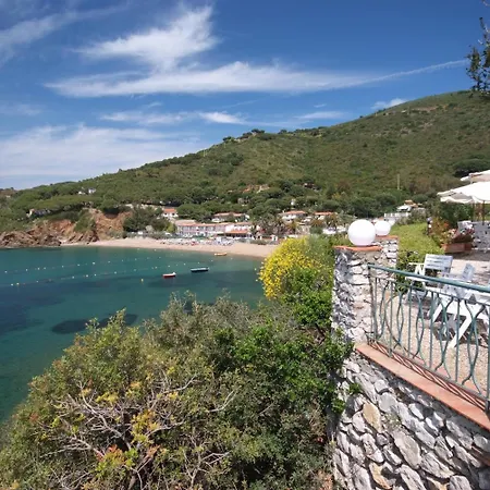 Dino